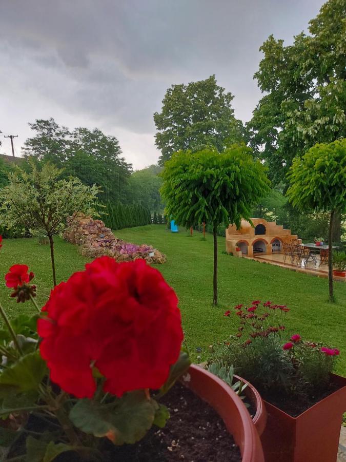 Kuca Za Uzivanje Valjevo Zewnętrze zdjęcie