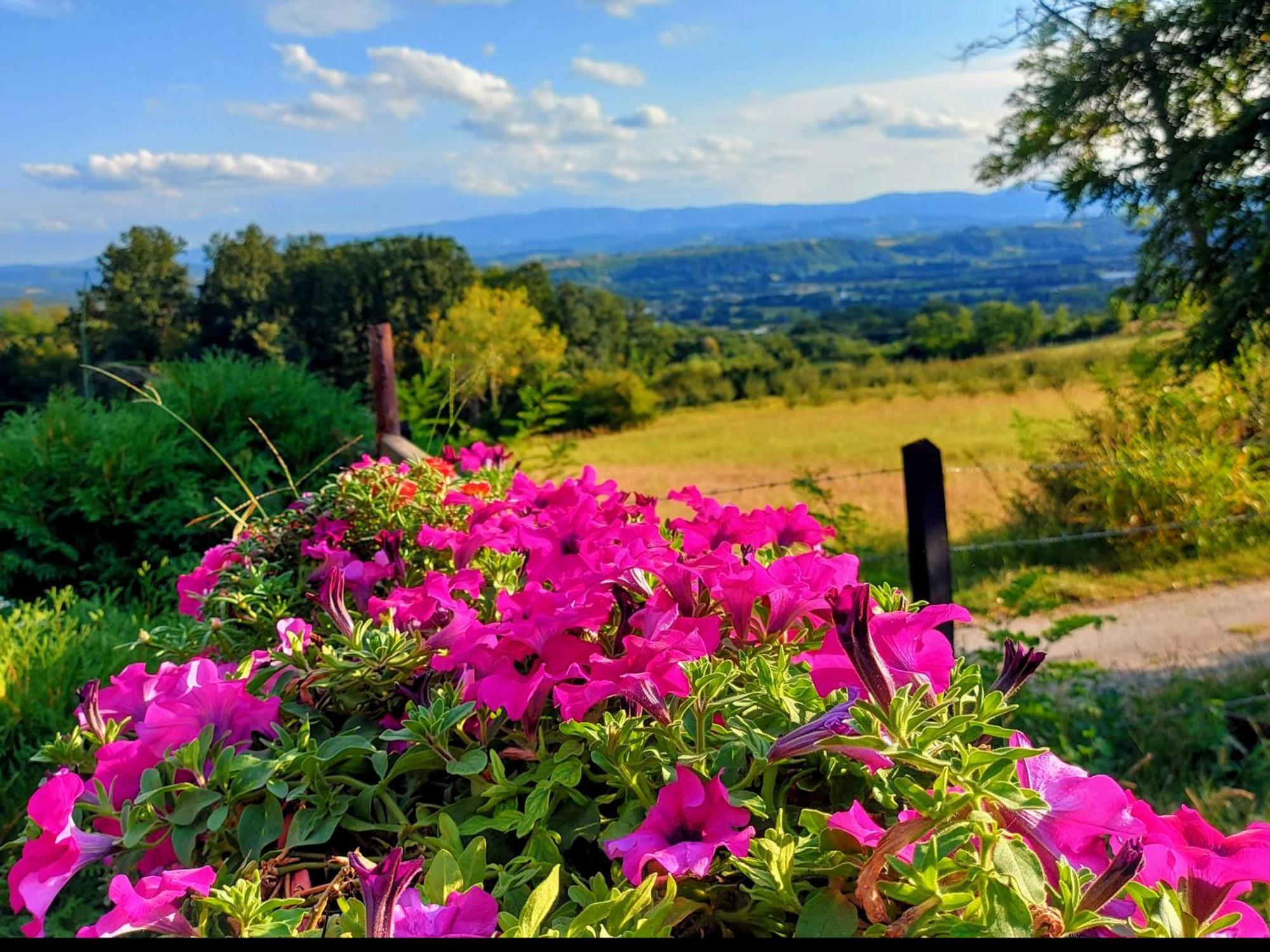 Kuca Za Uzivanje Valjevo Zewnętrze zdjęcie